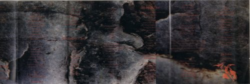 inside sleeve