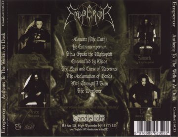 back insert