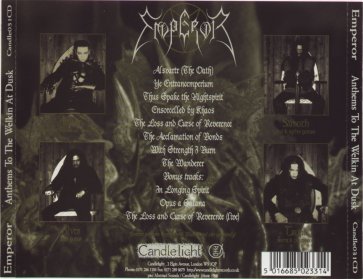 back insert