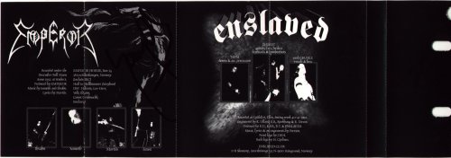 back of sleeve